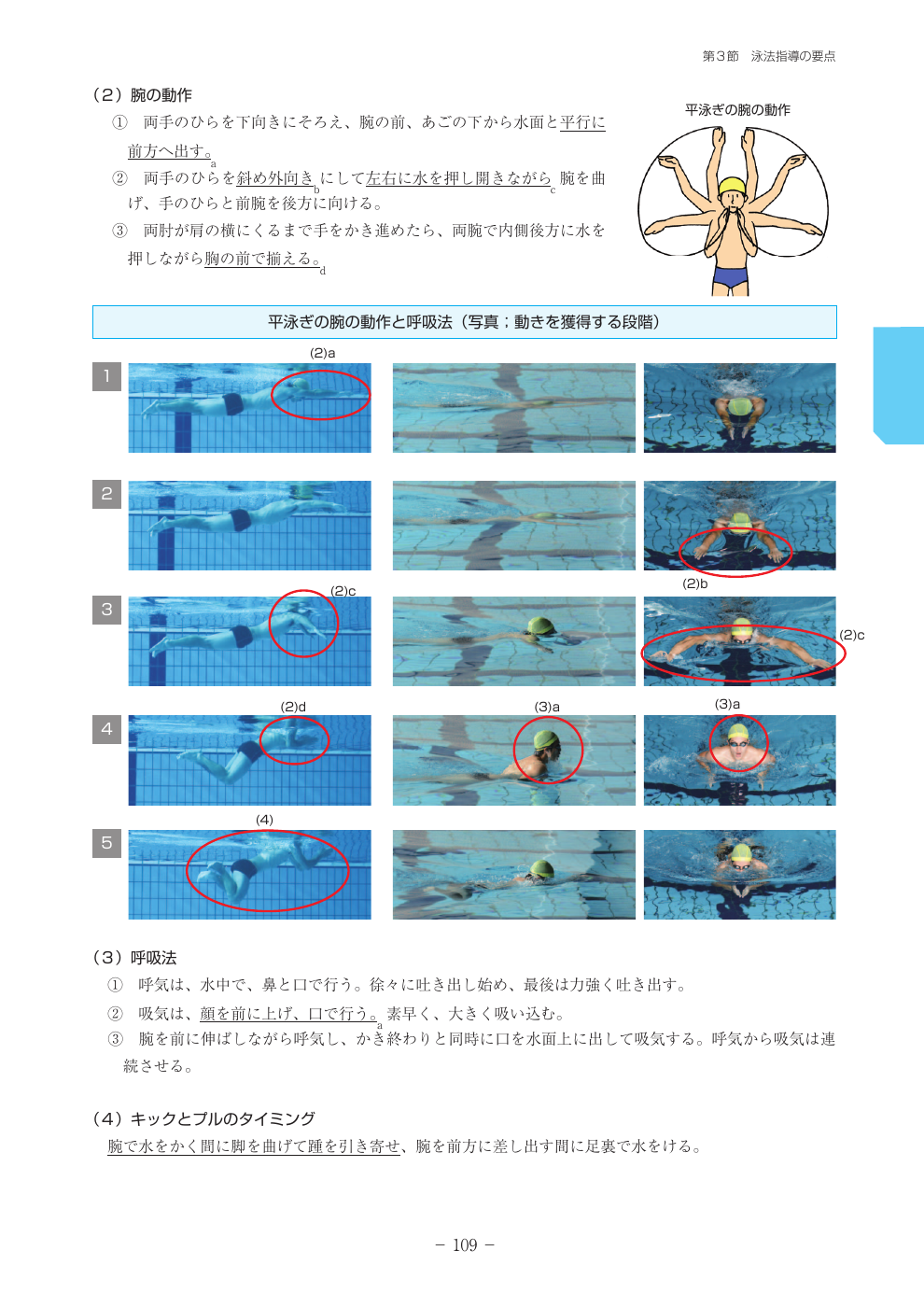 平泳ぎの公式図解を見る