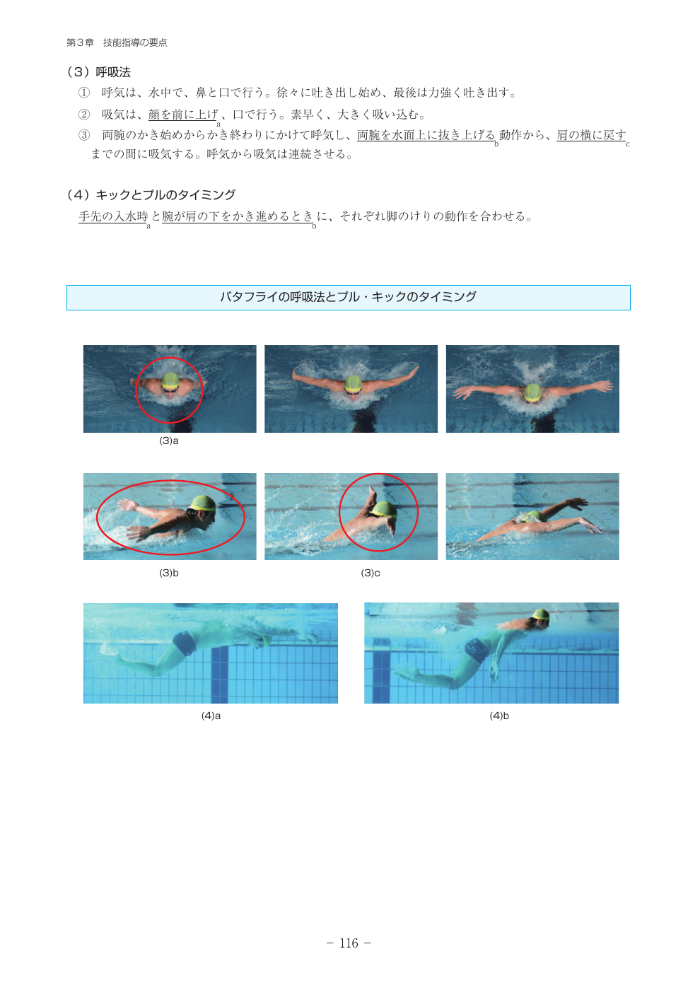 バタフライの公式図解を見る